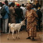 7 Nigerians on the Craziest Things They’ve Seen in Ibadan