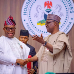 Who’s Calling Out the National Assembly’s Bill Seeking to Regulate Bloggers?