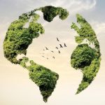 Nigeria’s Environmental Crisis Is Already Here. We Just Keep Ignoring It