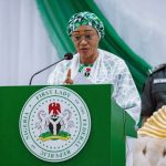 From Backyard Okra to Akara: A Collection of Remi Tinubu’s Bad Ideas