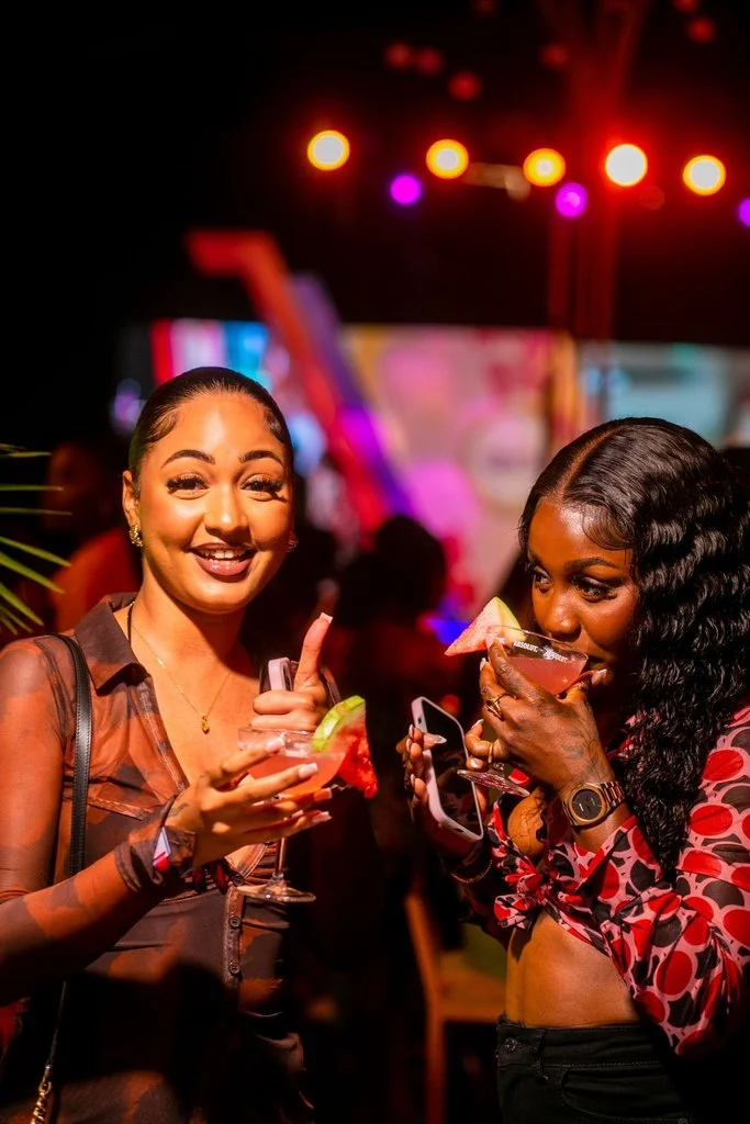 Absolut's Born To Mix experience