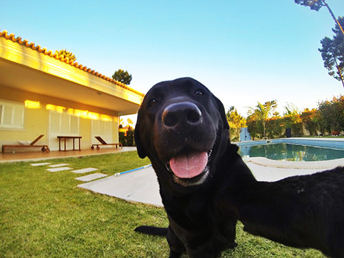 24 Types of Selfies We Find Annoying, But Are Guilty of Taking